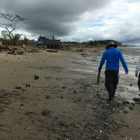 Walking Along the Coast